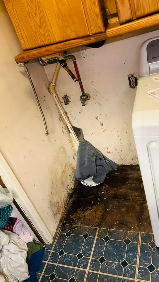 Laundry room floor damaged by a leak beside the washer in Sammamish, WA