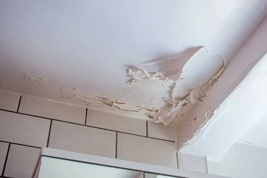Water-damaged ceiling drywall peeling in a bathroom below a leak in Sammamish, WA